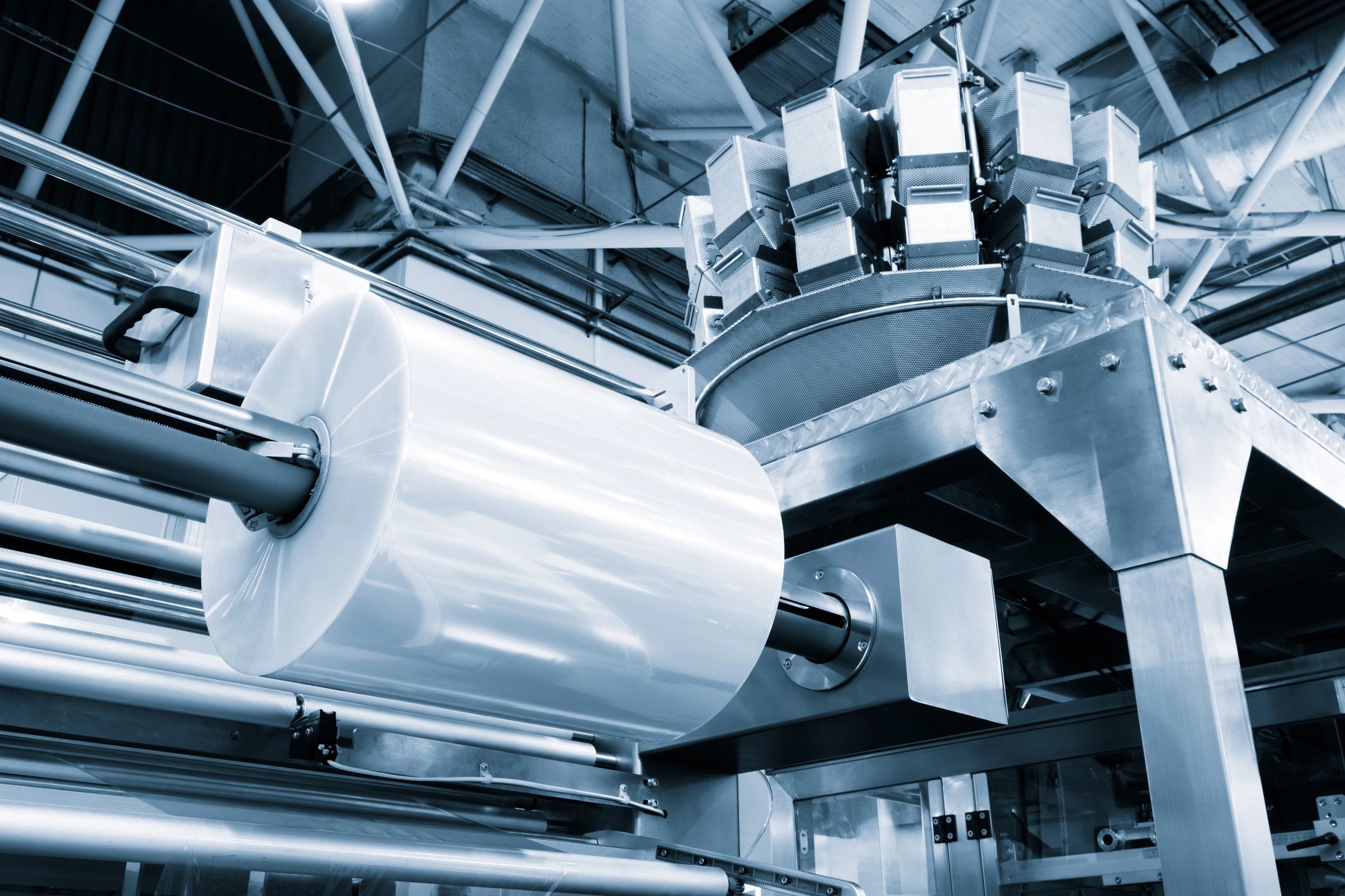 industrial flexible packaging factory modern